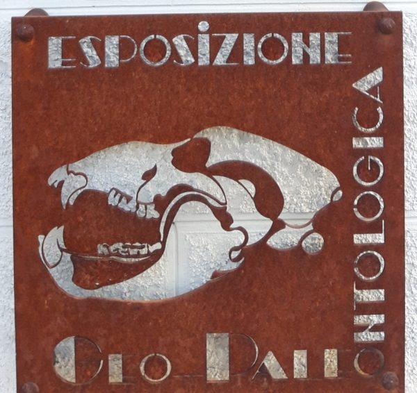 mostra-del-fossile-600x566